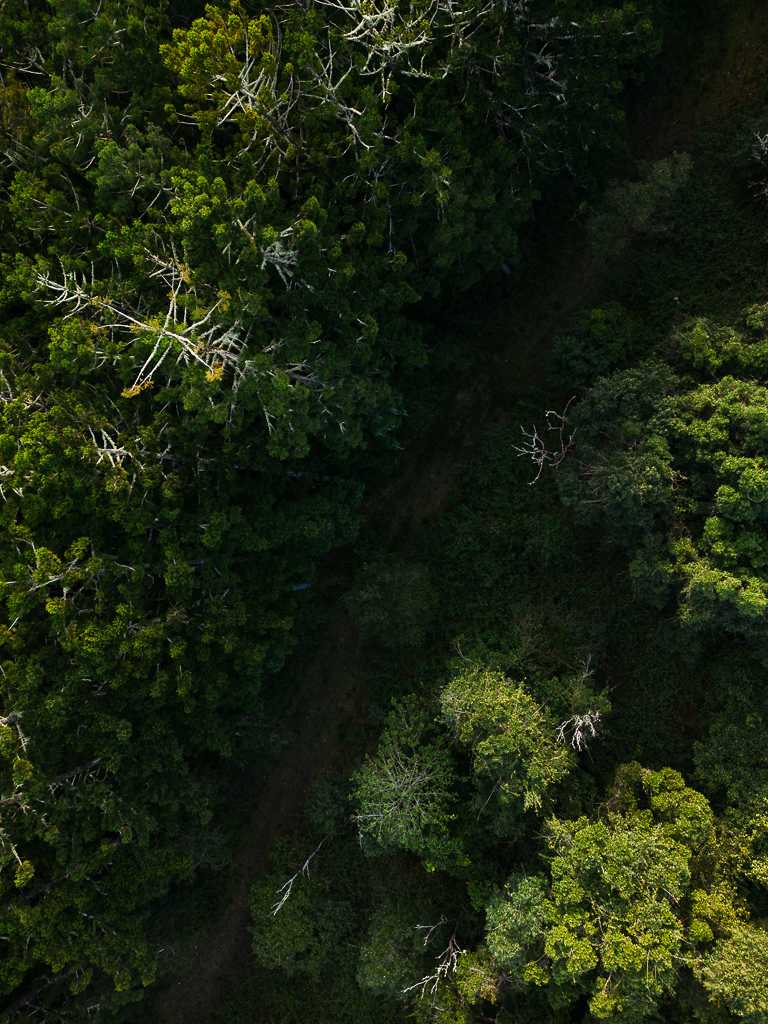 DJI_0943.DNG