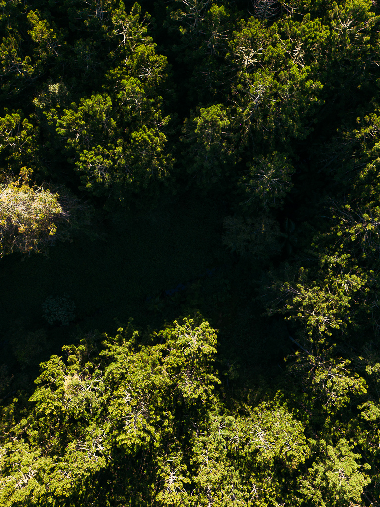 DJI_0944.DNG
