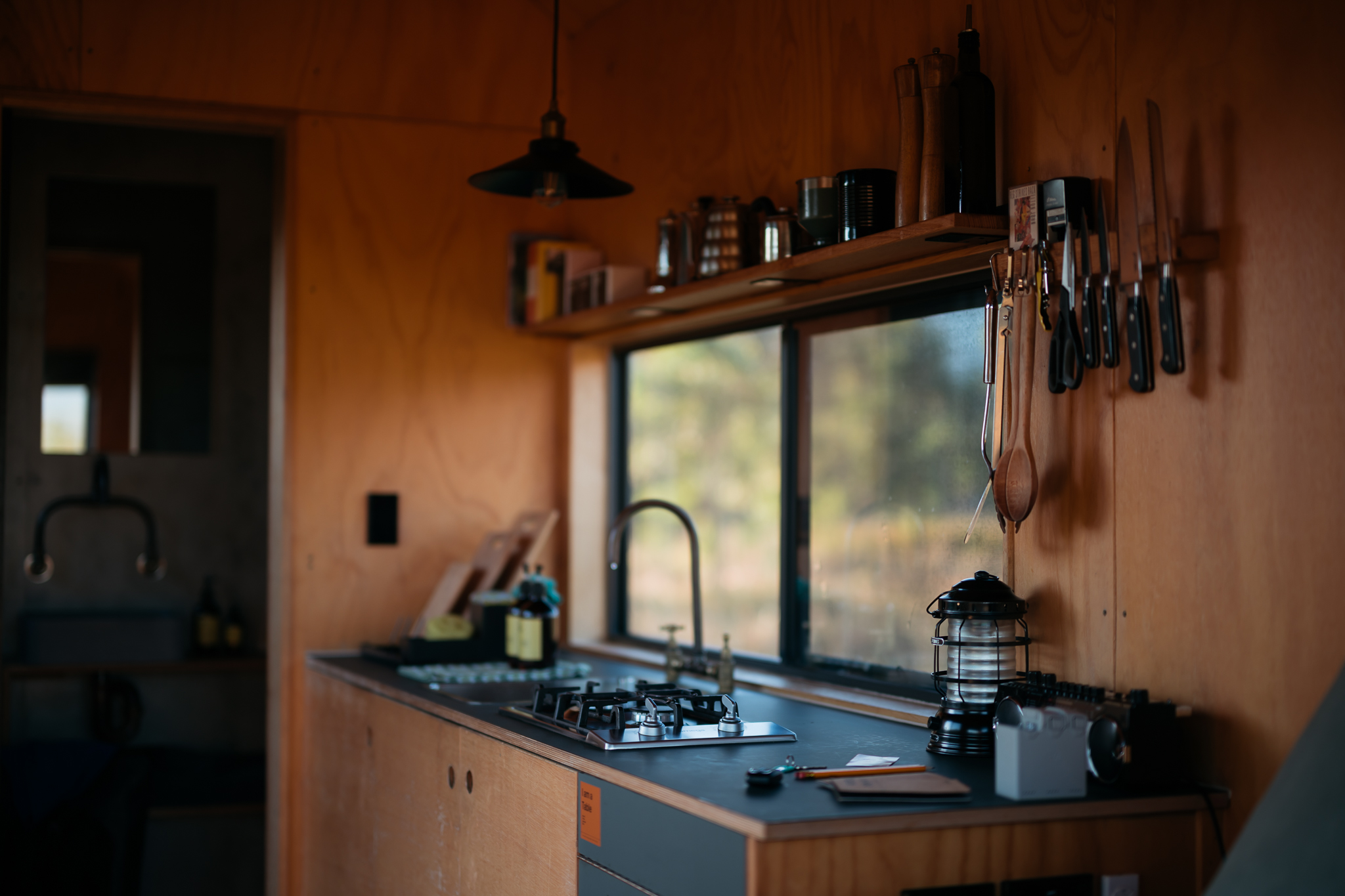 _DSC6867.NEF