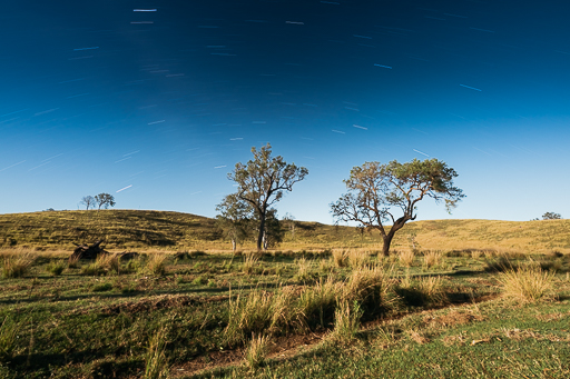 _DSC6940.NEF